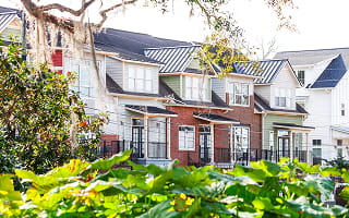 Real Estate in the City of Tallahassee